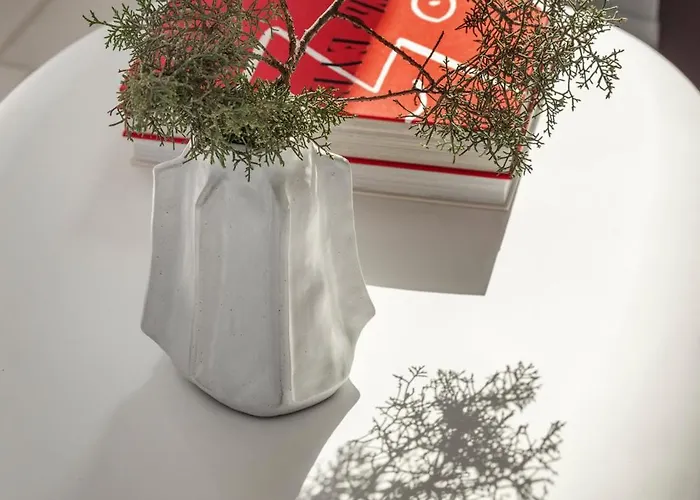 Twwo 公寓式酒店 安提帕罗斯岛